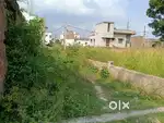 Jamin bikri ka h