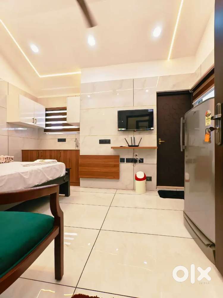 1bhk fully furnished apartment for rent