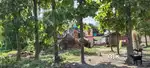 4sotok bastu jomi  rampara rastar opor.rampara hariharpara Murshidabad