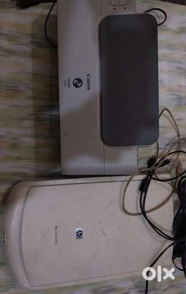 Scanner and inkjet printer