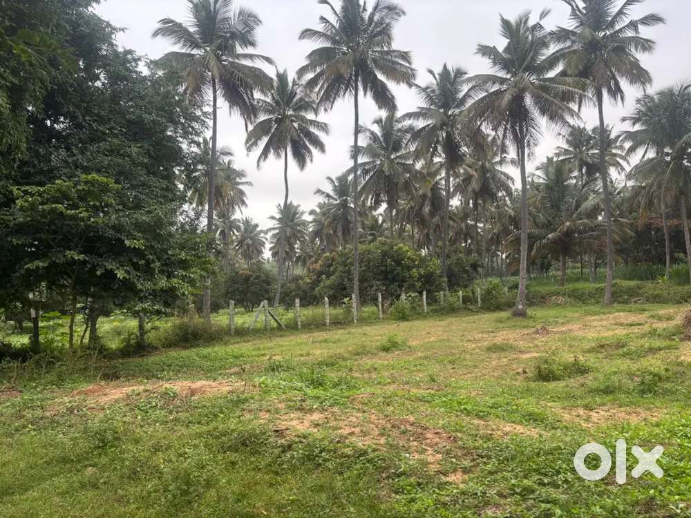 Land for sale in bangalore south kanakapura town