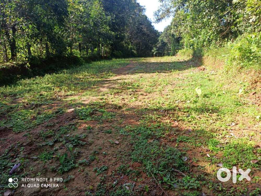 Hebri 53cents Road side Land for sale 2km from Hebri Bus stand