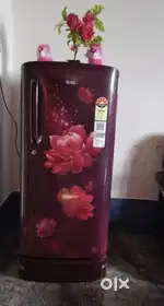 New fridge