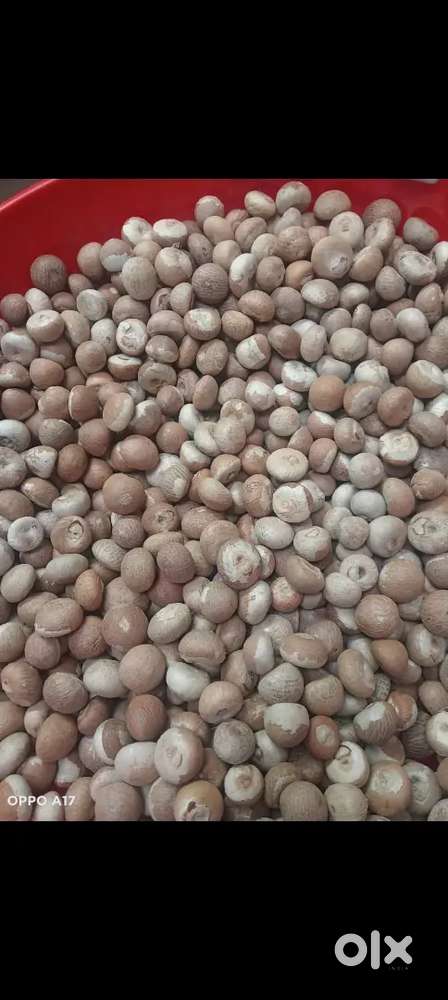 Supari for sale