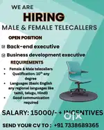 Hiring for back-end executive