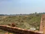 Plots sell