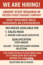 SALES EXECUTIVE CUM DRIVER