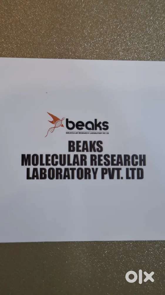 Assistant Accountant-2 Vacancy, Packing Staff-2 Vacancy