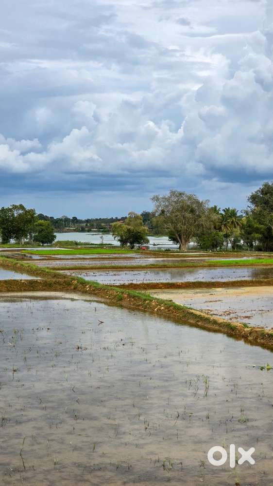 CPU + LED Monitor (mint condition  Buy together or separately)