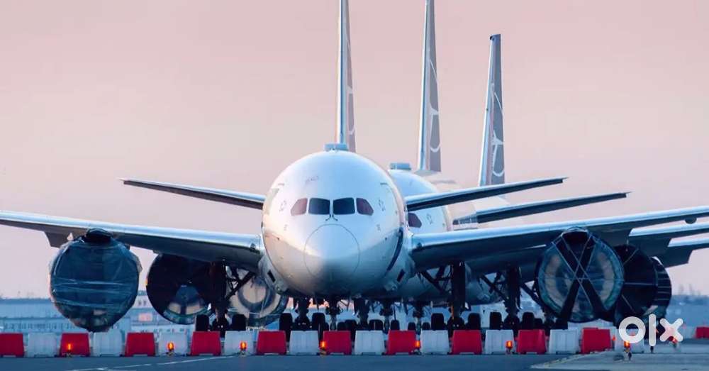 Ground Staff, Passenger Service, Airport, Air Ticketing, Airport Staff