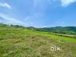 5,10,15,20 cent plots for Sale near Vagamon Village