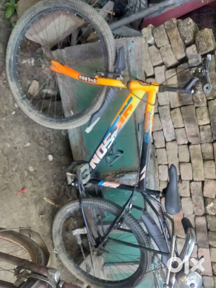 Cycle best condition