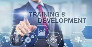 PYTHON & TESTING BD PROCESS