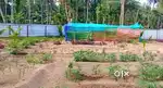 9 cent plot ചേർത്തല ബിഷപ്പ് സ്കൂളിന് സമീപം