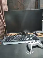 Monitor  with 300hz
