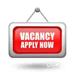 Team leader, telecaller, document writing, office assistent