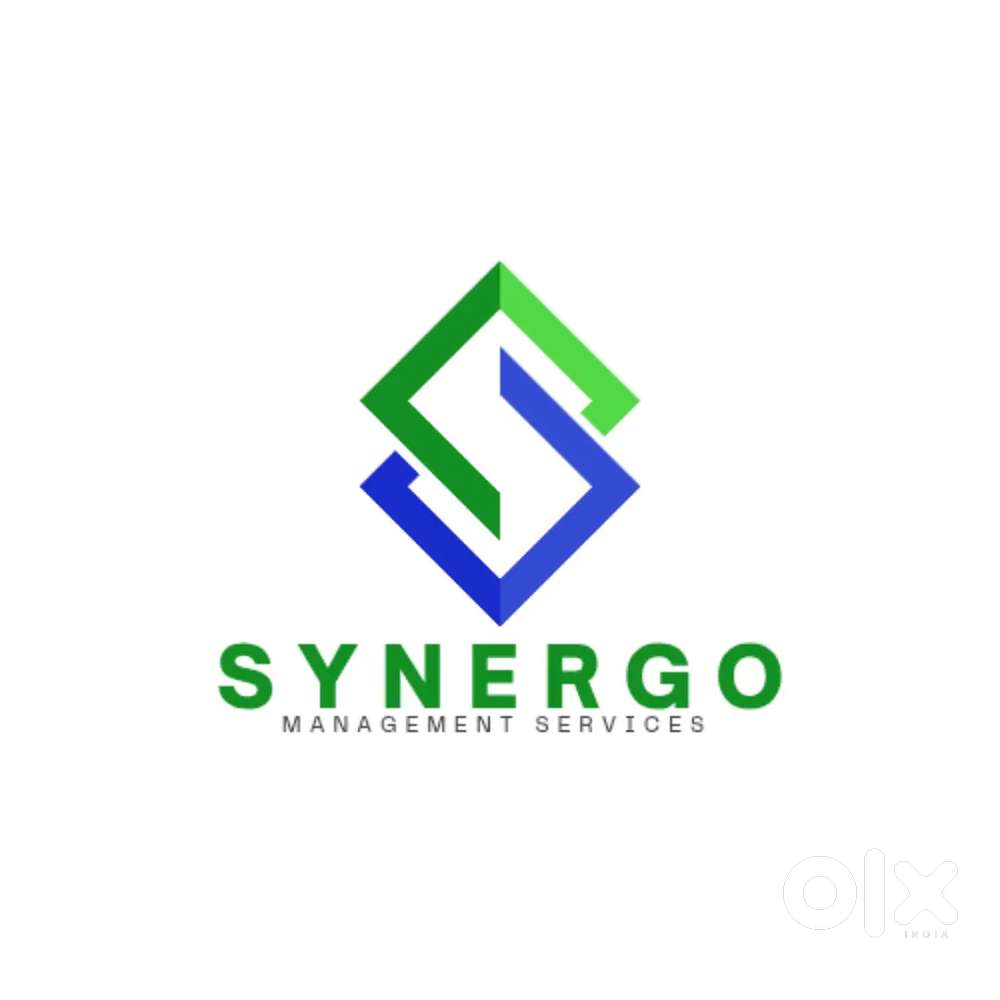 Delivery Executive