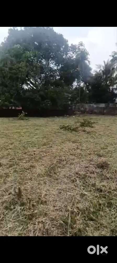 Call Genuine Buyers only