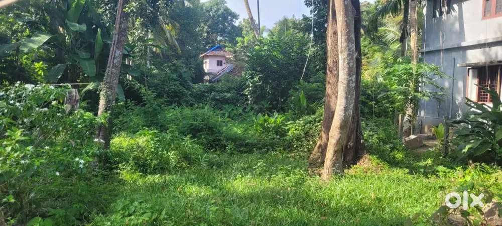 7 സെന്റ് പുരയിടം - തോട്ടപ്പള്ളി