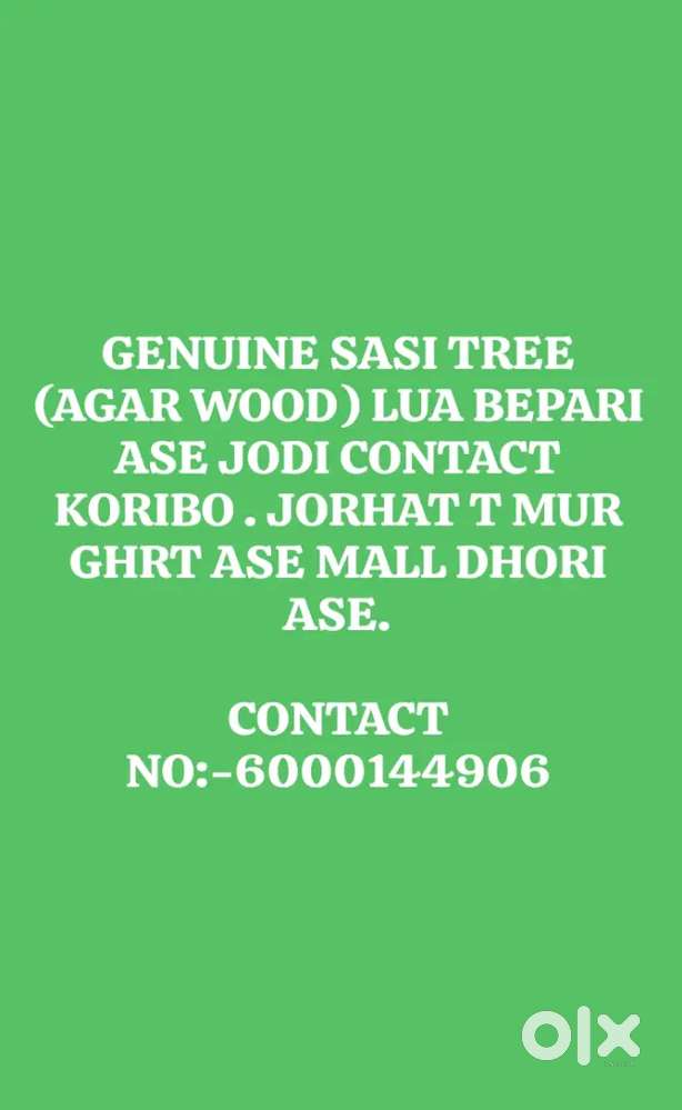 SASI GOS R BEPARI HOLE CONTACT KORIBO JORHAT T ASE 1 JUPA