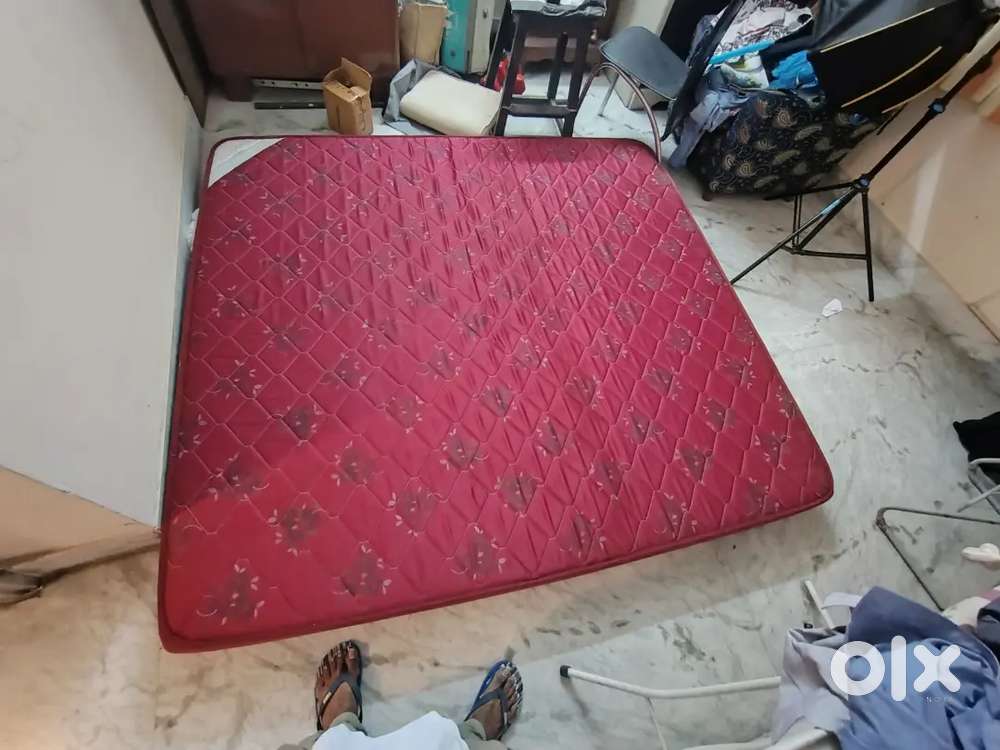 Kurlon Foam Ortho mattress