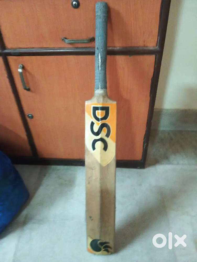 DSC cricket bat