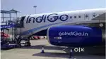 Great opportunity for Airport jobs ground staff /ticketing /cabin crew