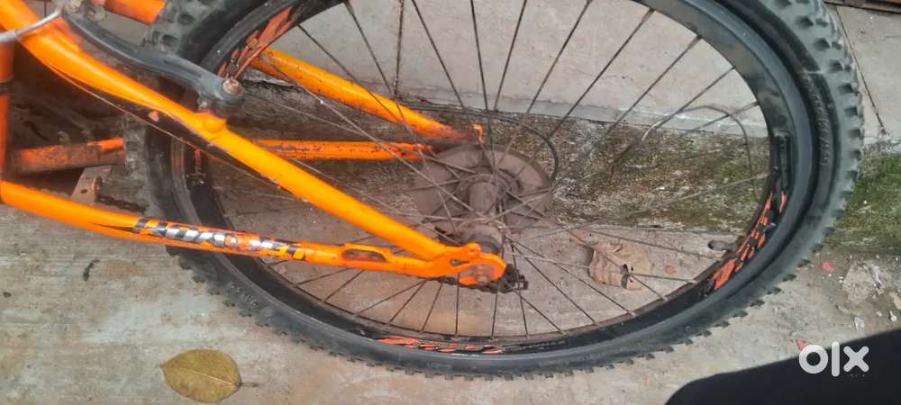 Mountain cycle