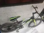 Viva cycle