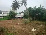 Plot for sale in ollur