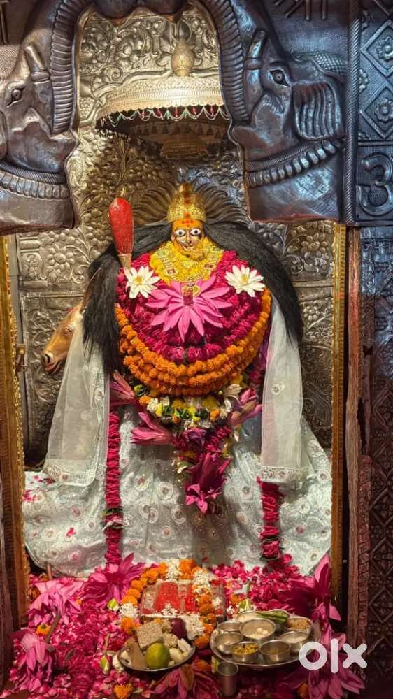 Keryadar chahiya good lokason