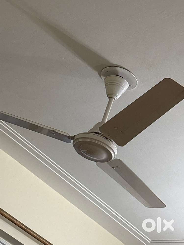 Usha ceiling Fan with 3 blades