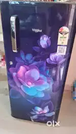 Single Door Fridge in Great Condition – Budget Friendly!