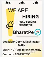 Field service executive