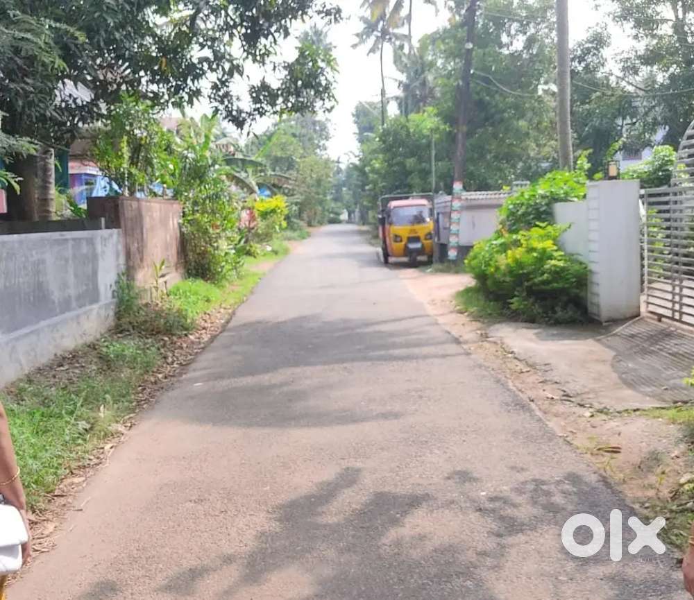 7.5 cent plot, Nellayi