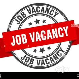 Marketing executives