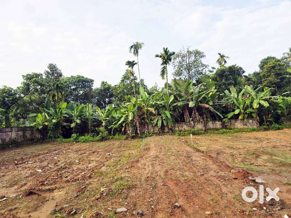 Residential Land for Sale – Neericode, Near Kongorpilly Varapuzha