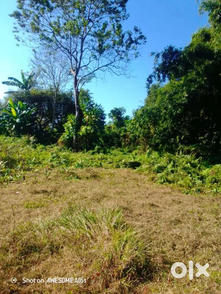 3 bigha miadi mati sell urgent