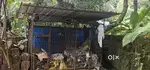Big dog cage