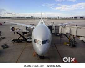 Great opportunity for Airport jobs ground staff /ticketing /cabin crew