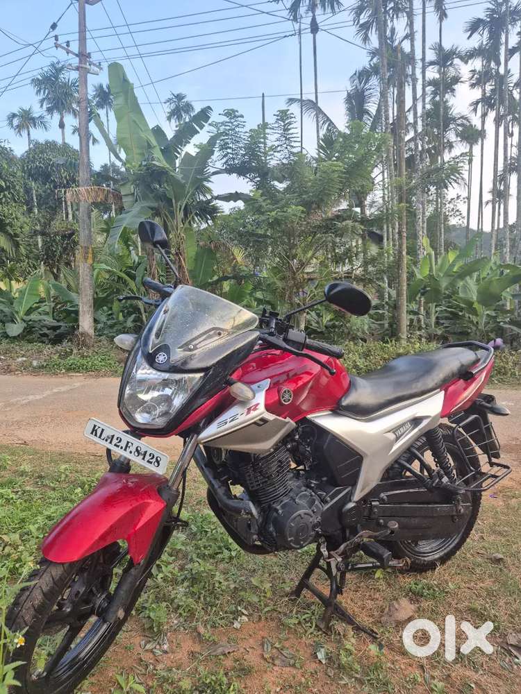 2011 November Model Yamaha SZR