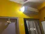 Indoor only LG condition is good