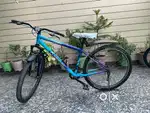 All working only 1.5 year old