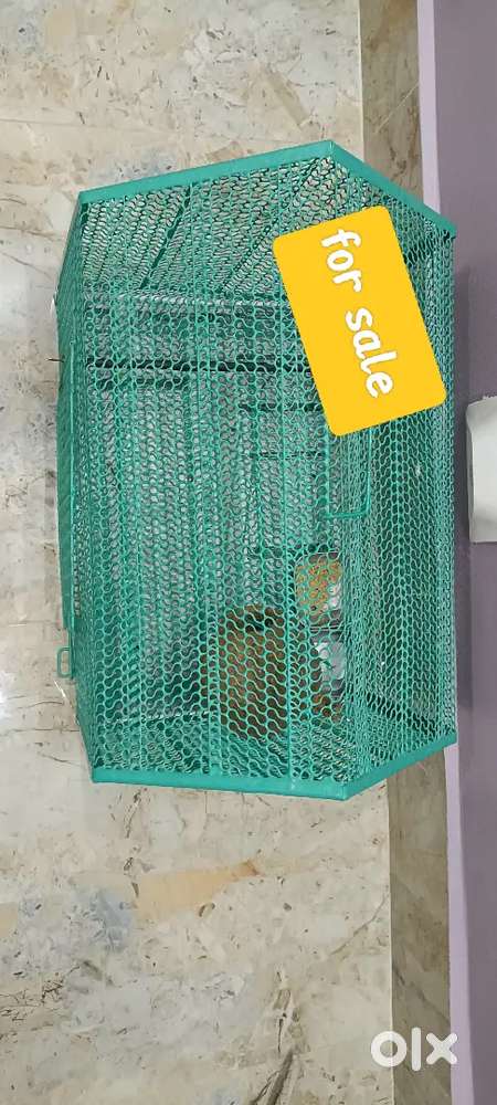 Cage for sale