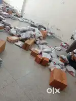 Required delivery boys