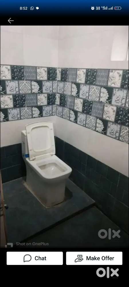 Girl roommate needed