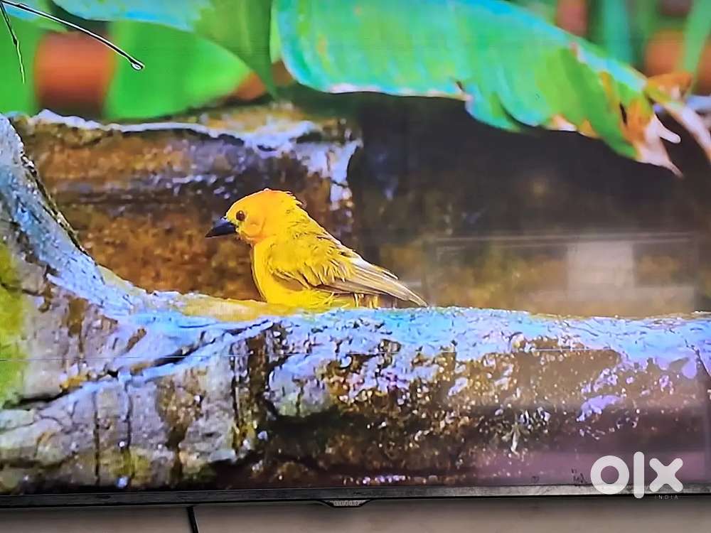 Onida led tv 40 inches good codition sell