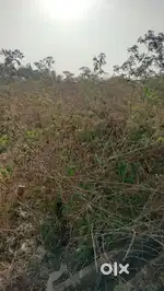 Plot for sale