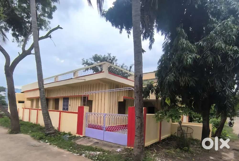 Ankuli, Laxmi Narayan Nagar Berhampur