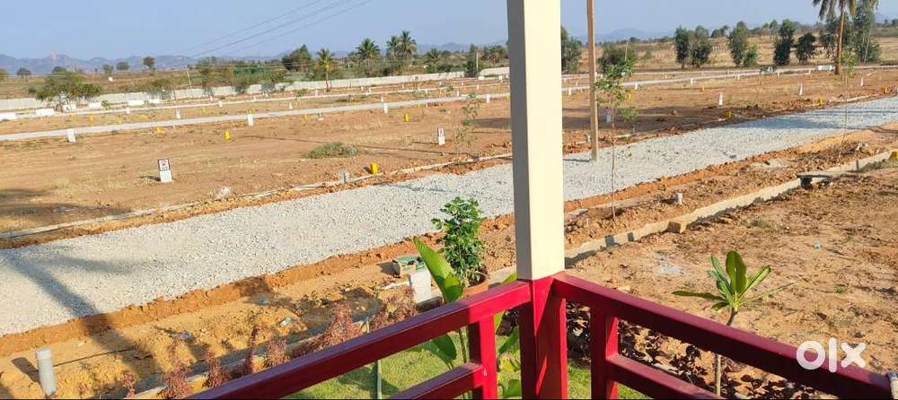 Very low-budget premium residential plots
